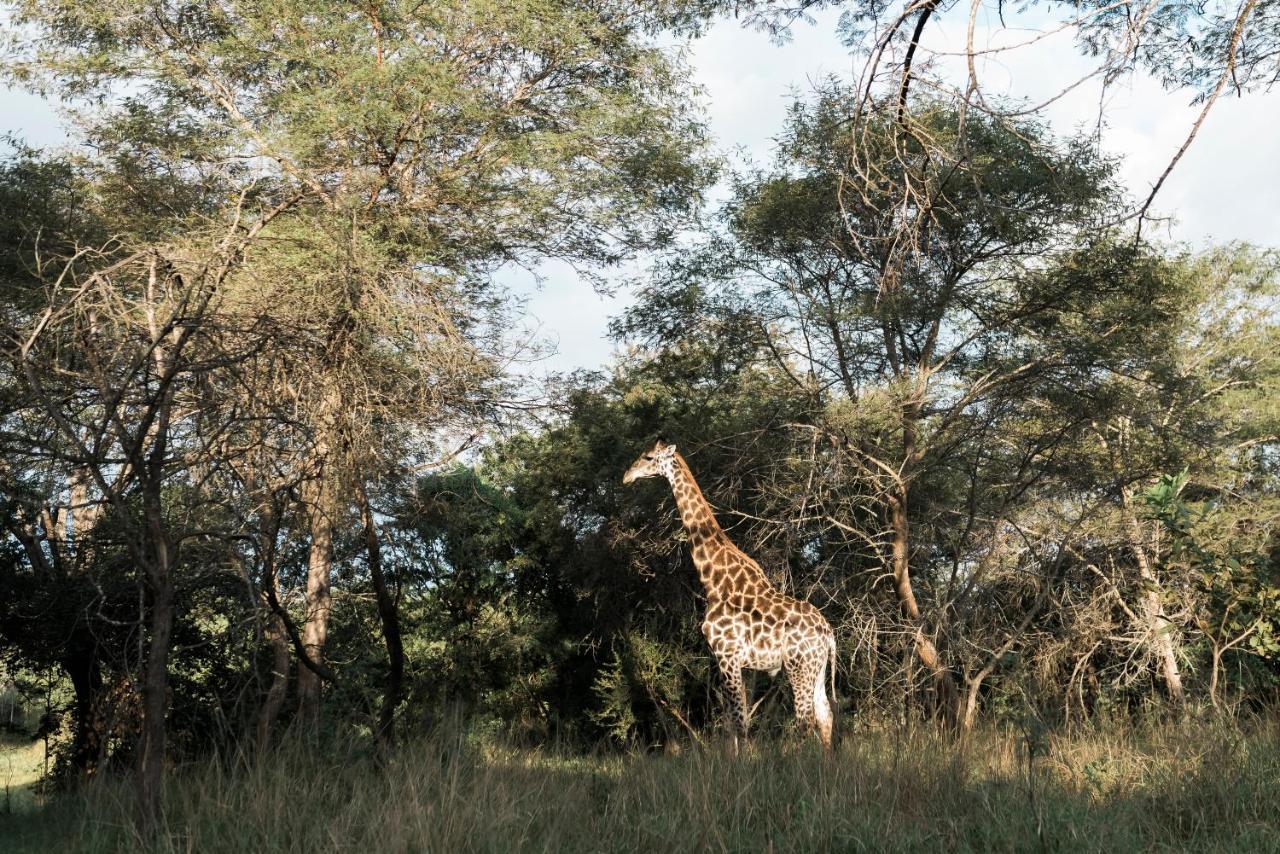 Tzaneen Country Lodge Esterno foto